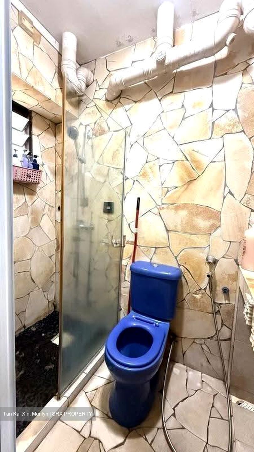 Blk 251 Compassvale Haven (Sengkang), HDB 5 Rooms #635823061